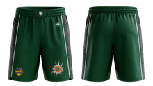 Load image into Gallery viewer, WABL Playing Shorts - Male

